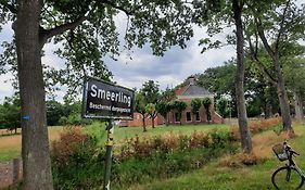 Schier Stee